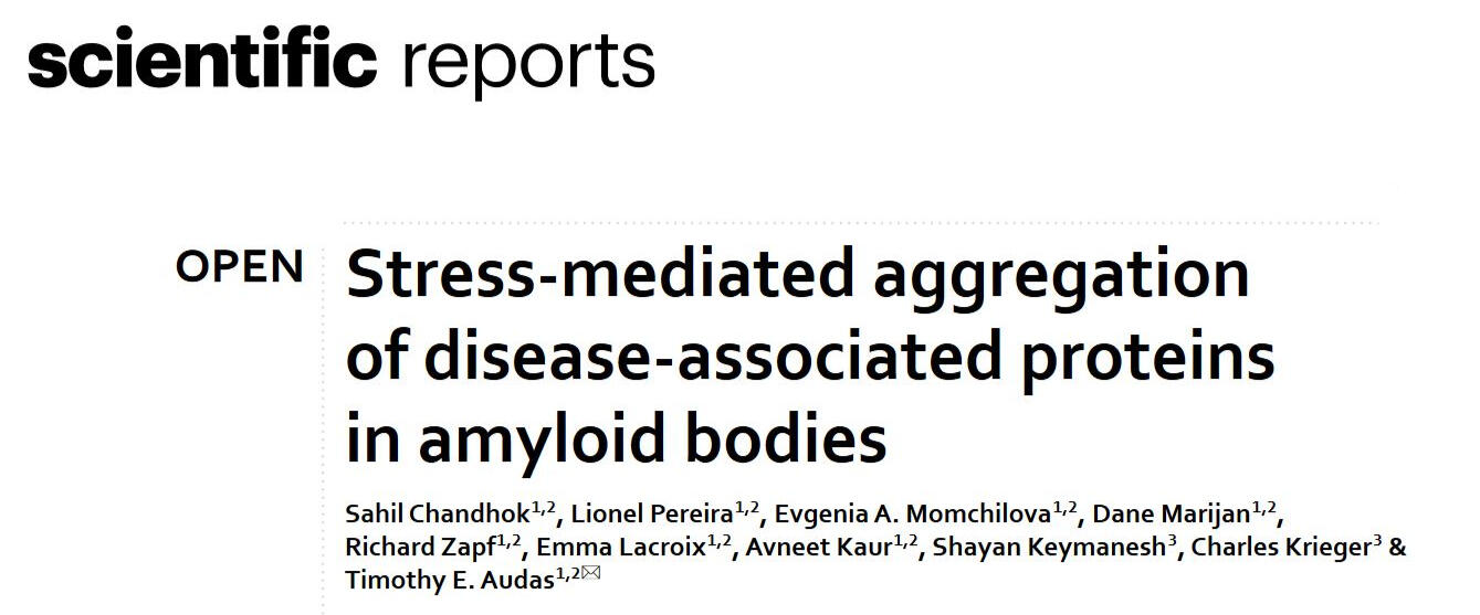 Scientific reports paper 2023