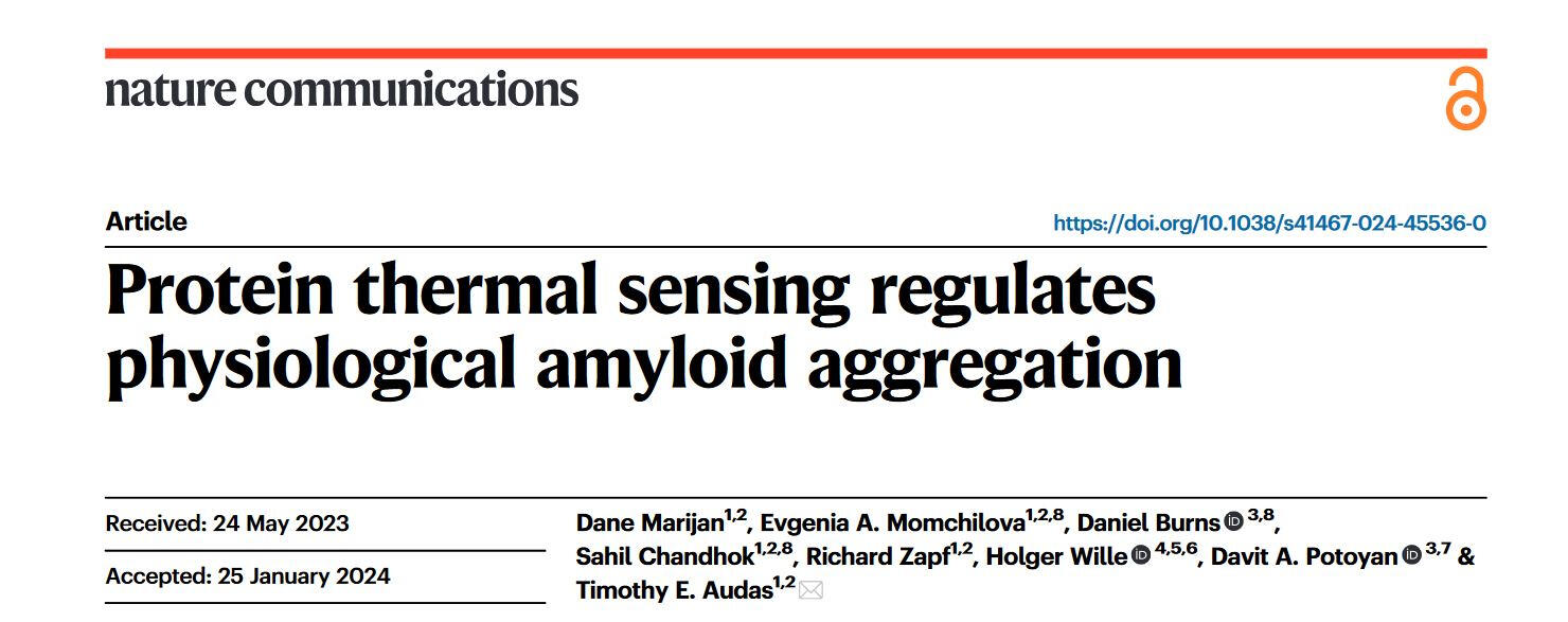 Nature Communications paper 2024